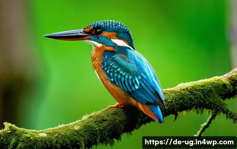 생물종 관찰 및 기록의 윤리적 측면 관련 이미지 1